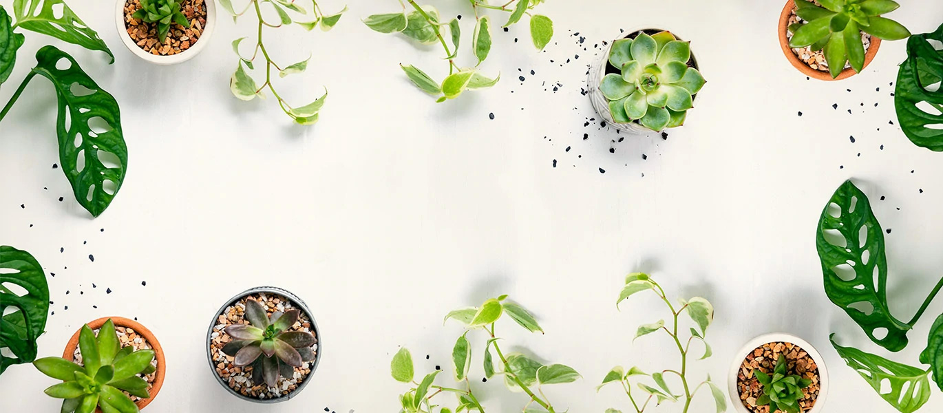 The Powerful Theme You can Trust